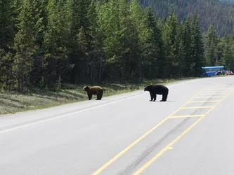 Kanada2017_0484.JPG