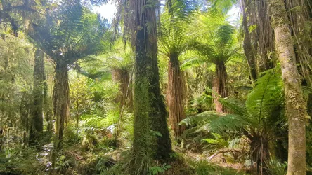 NZ2022_1606.jpg