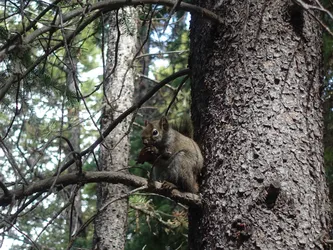 Kanada2017_0394.JPG