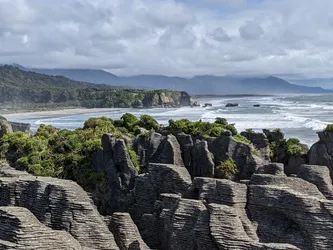 NZ2022_1209.jpg