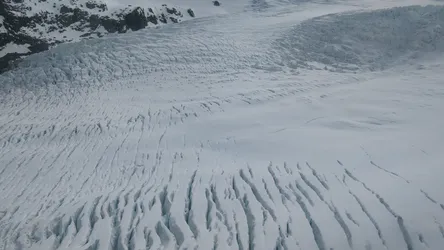 NZ2022_1418.jpg
