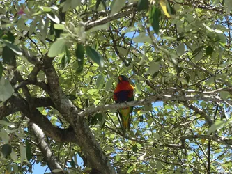 NZ2022_0290.JPG