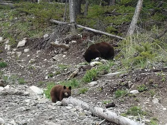 Kanada2017_0579.JPG