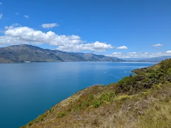 NZ2022_1643.jpg