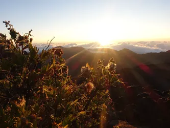 Hawaii2016_1129.JPG