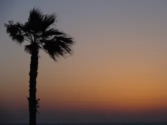 Dubai2014_0272.JPG