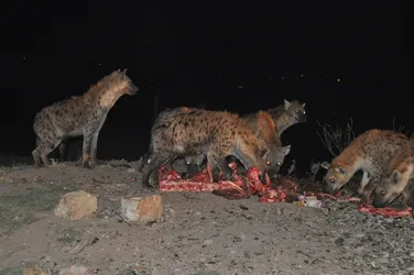 Äthiopien2019_SLR_0308.JPG