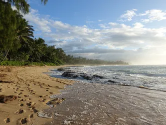 Hawaii2016_0409.JPG