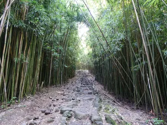 Hawaii2016_1025.JPG