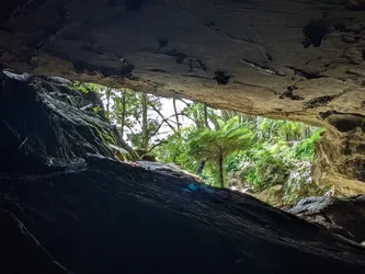NZ2022_0739.jpg