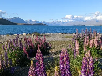 NZ2022_2220.jpg