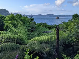 NZ2022_0552.jpg