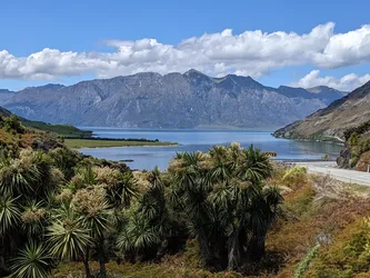 NZ2022_1640.jpg