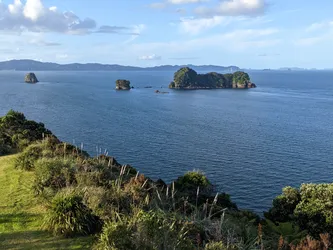 NZ2022_0547.jpg