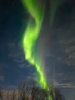 20251103_230256.jpg