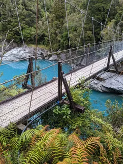 NZ2022_1340.jpg