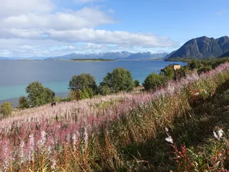 Norwegen_0172.JPG
