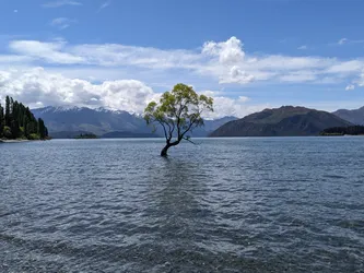 NZ2022_1653.jpg