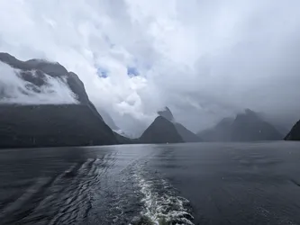 NZ2022_1888.jpg