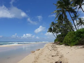 Hawaii2016_0342.JPG