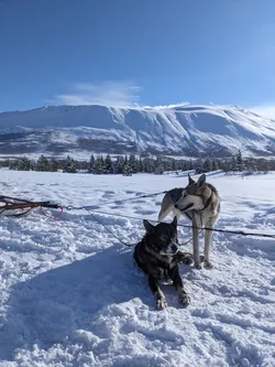 Norwegen2024_700.jpg
