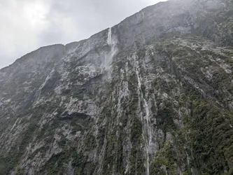 NZ2022_1861.jpg