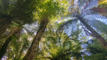NZ2022_1605.jpg