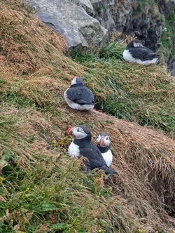 Island2024_0243.jpg