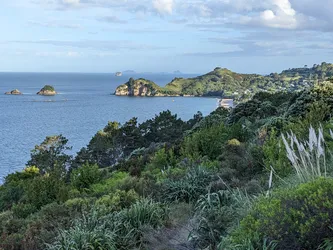 NZ2022_0548.jpg