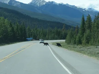 Kanada2017_0481.JPG