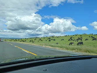 NZ2022_0408.jpg