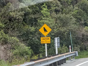 NZ2022_1296.jpg